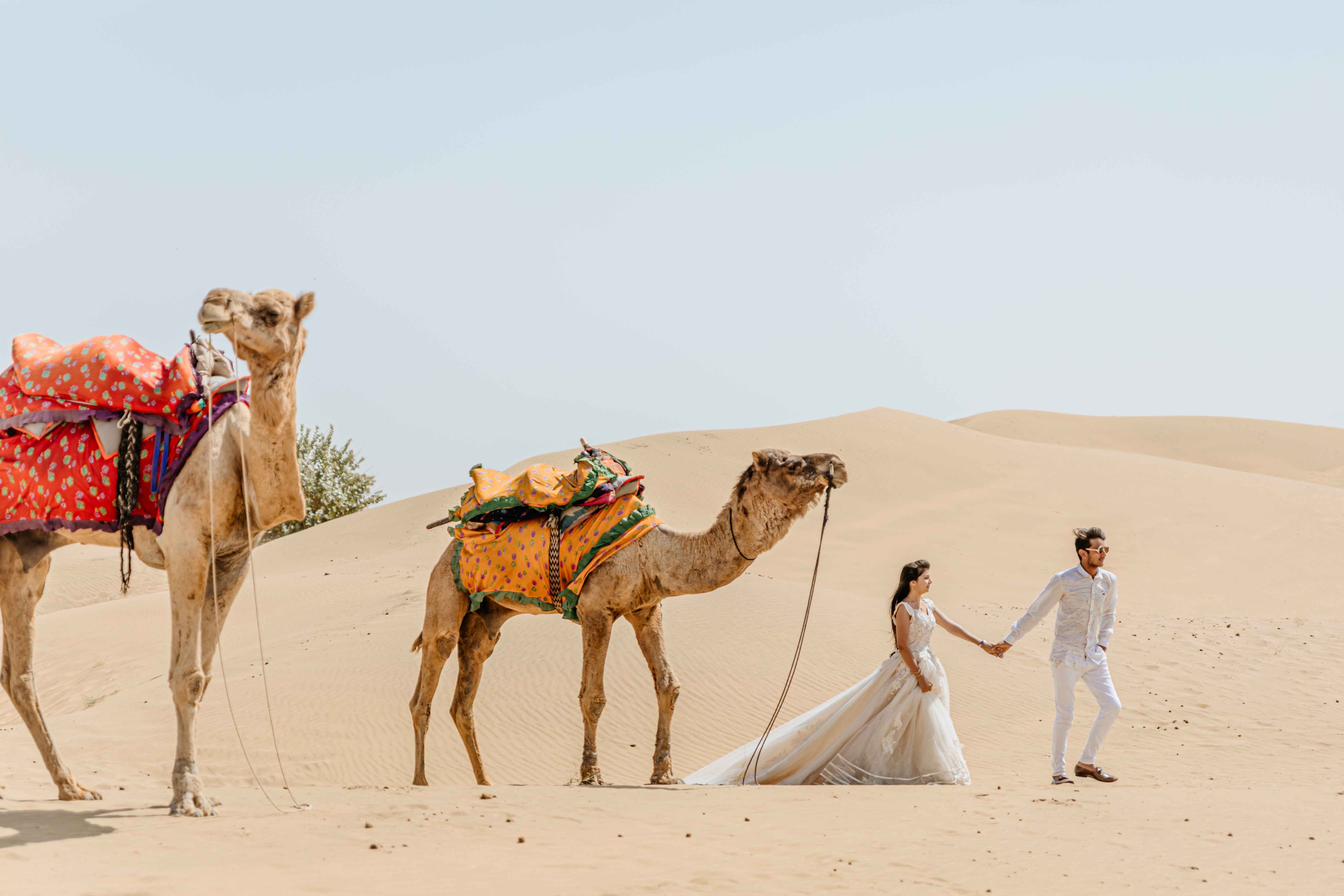 Couple portrait by House Of The Wedding Stories — photo 18